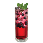 Blueberry Mojito Mocktail 
